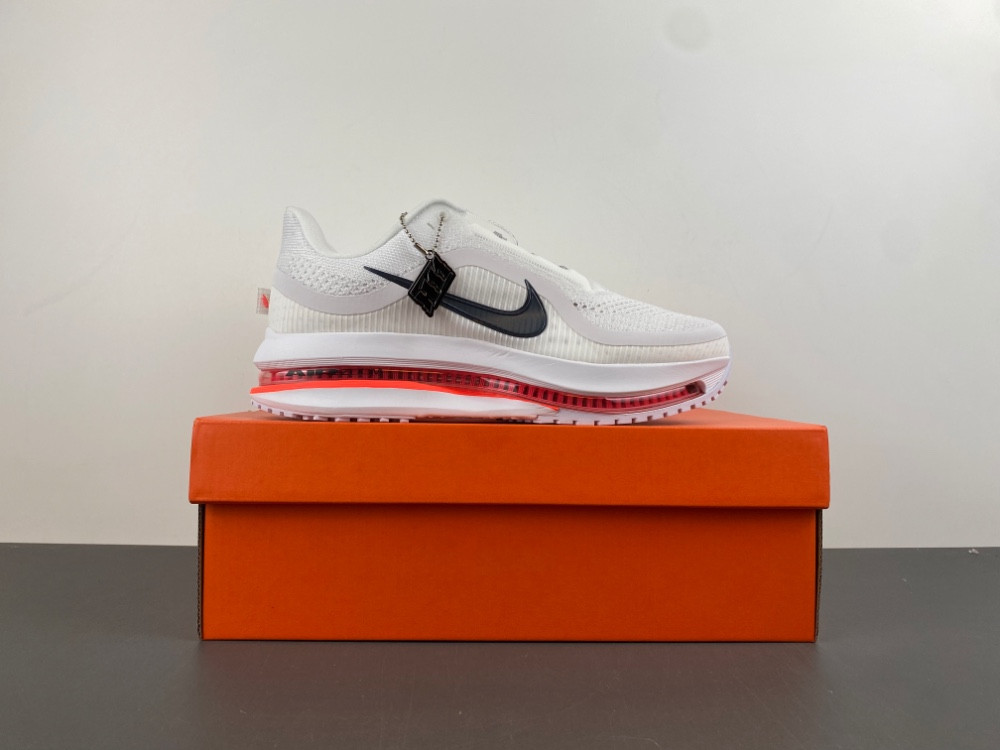 Nike Pegasus Premium Summit HQ2593-101