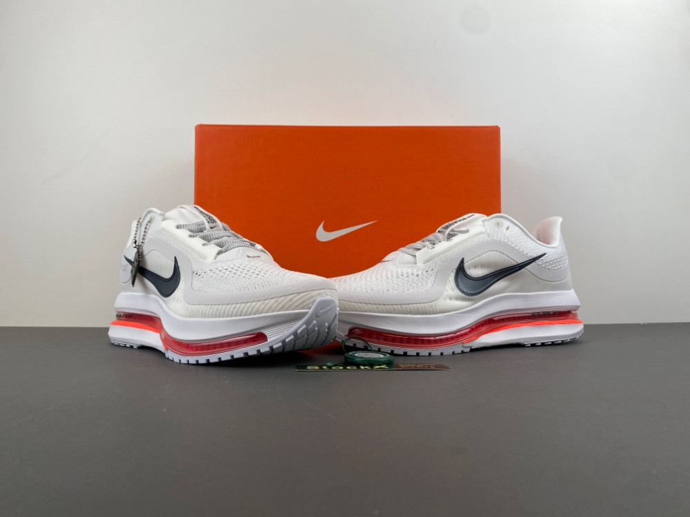 Nike Pegasus Premium Summit HQ2593-101