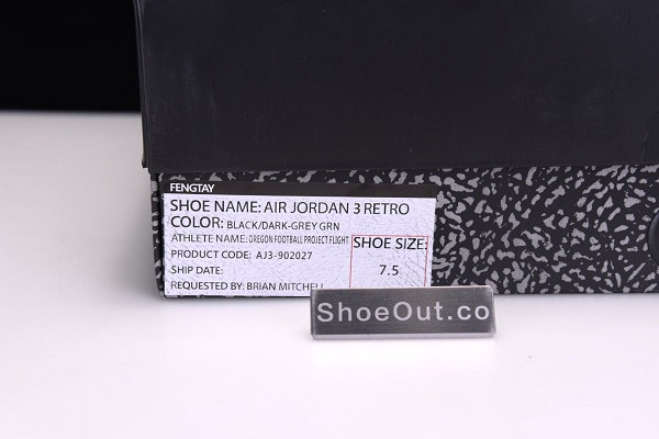 Air Jordan 3 Retro Oregon Duck AJ3-902027