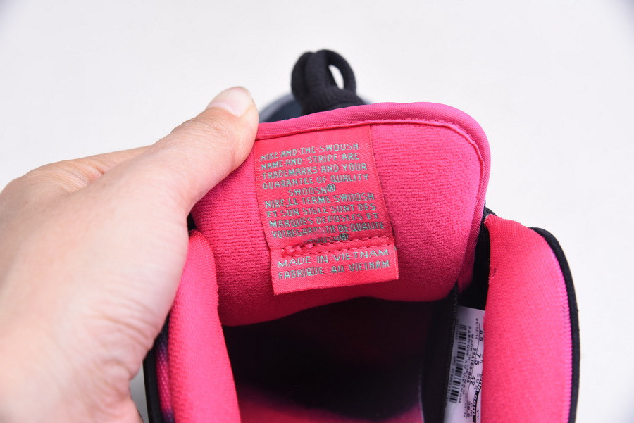 Nike Dunk SB Low Premier "Northern Lights" 724183-063