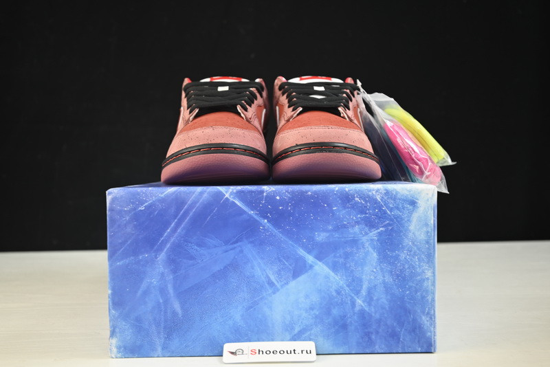 Nike SB Dunk Low “Lobster” 313170-661