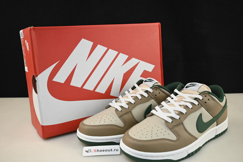 Nike Dunk Low FB7160-231