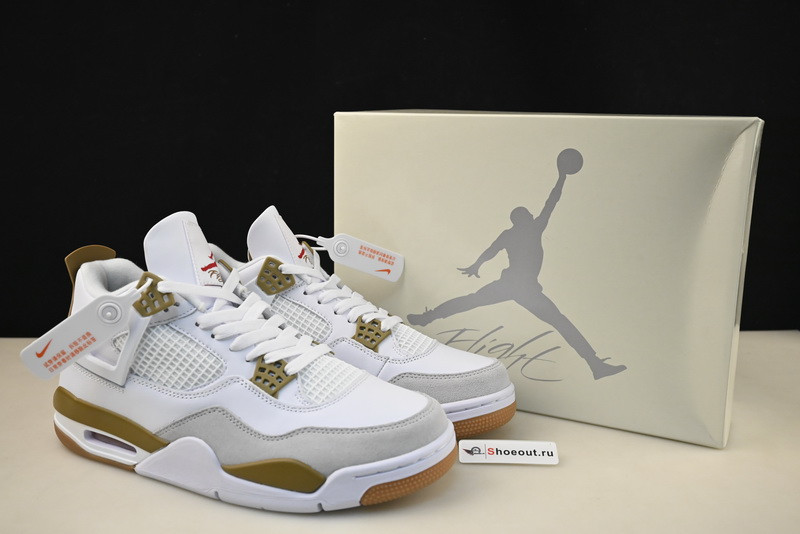 Air Jordan 4 DR5415-120