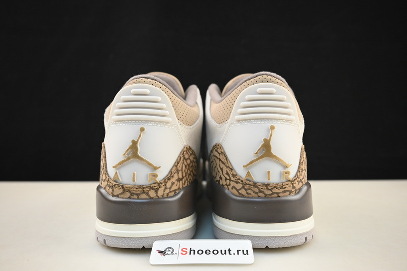 Air Jordan 3 “Palomino”  CT8532-102