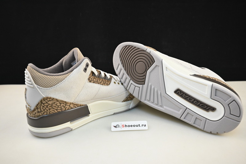 Air Jordan 3 “Palomino”  CT8532-102