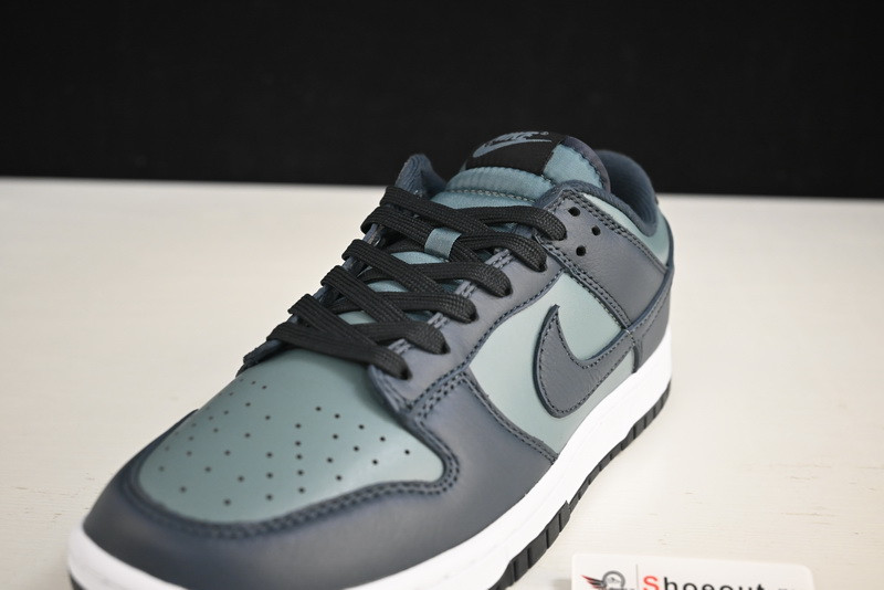 Nike Dunk Low DR9705-300