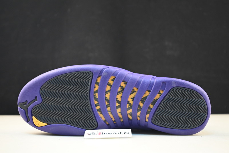 Jordan 12 Retro Field Purple  CT8013-057