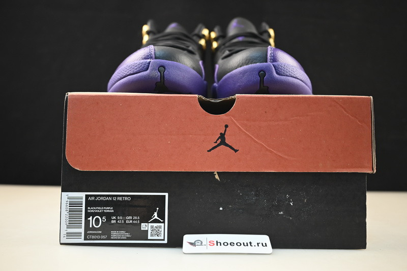 Jordan 12 Retro Field Purple  CT8013-057