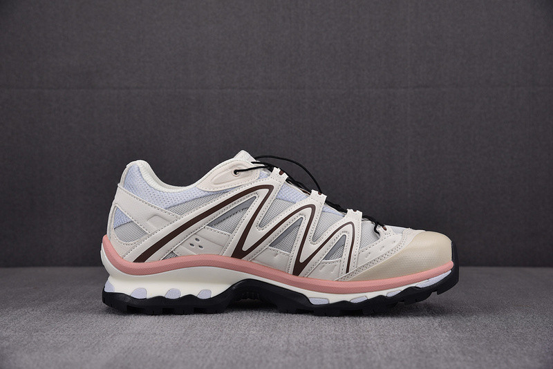 Salomon XT-6 417589