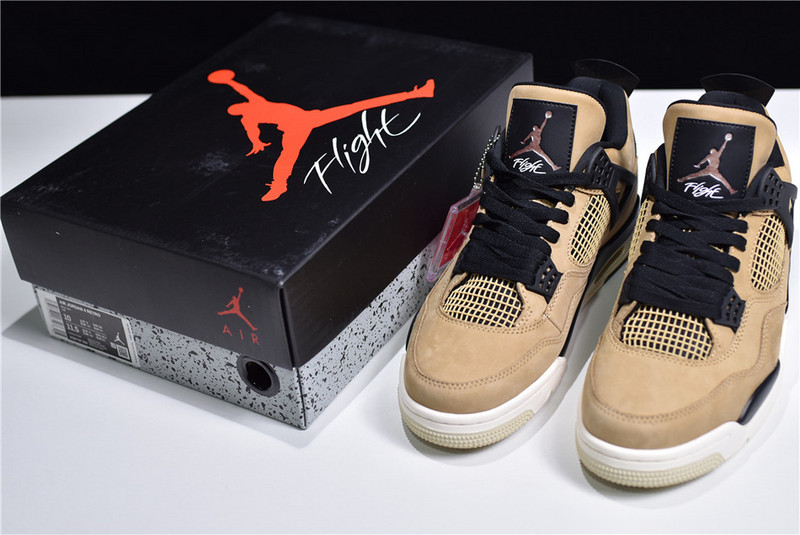 Air Jordan 4 “Mushroom” AQ9129-200