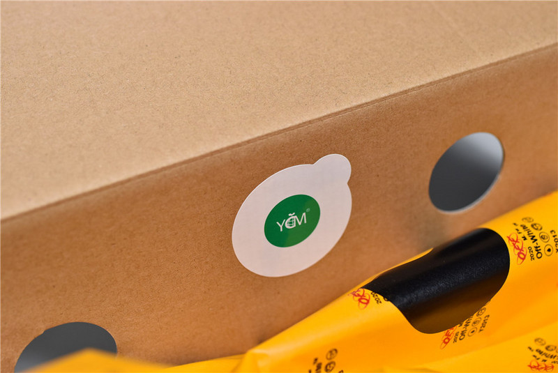 OF x Nike Dunk Low Michigan CT0856-700