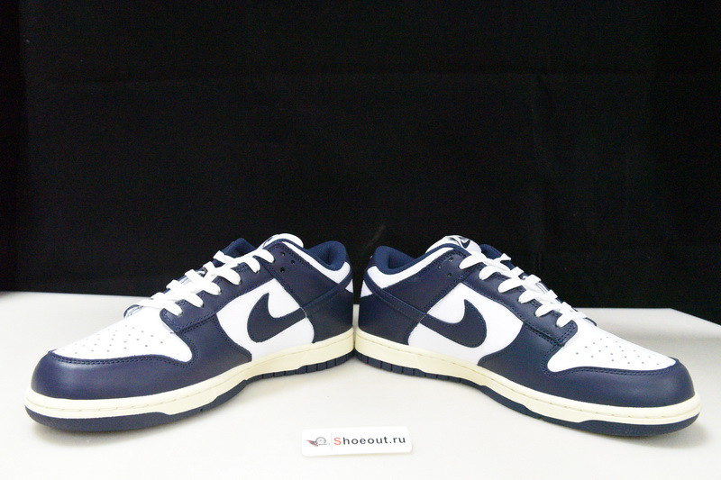 Nike SB Dunk Low DD1503-115