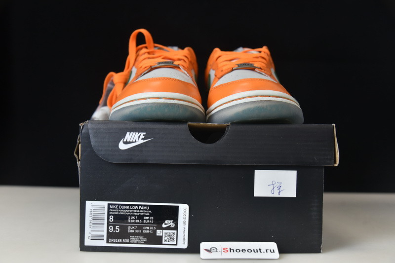 Nike Dunk Low DR6188-800