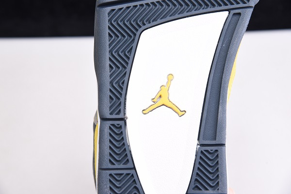 Air Jordan 4 Retro LS "Lightning" 314254-700