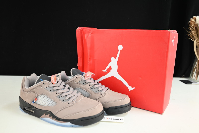 PSG x Air Jordan 5 Low DX6325-204