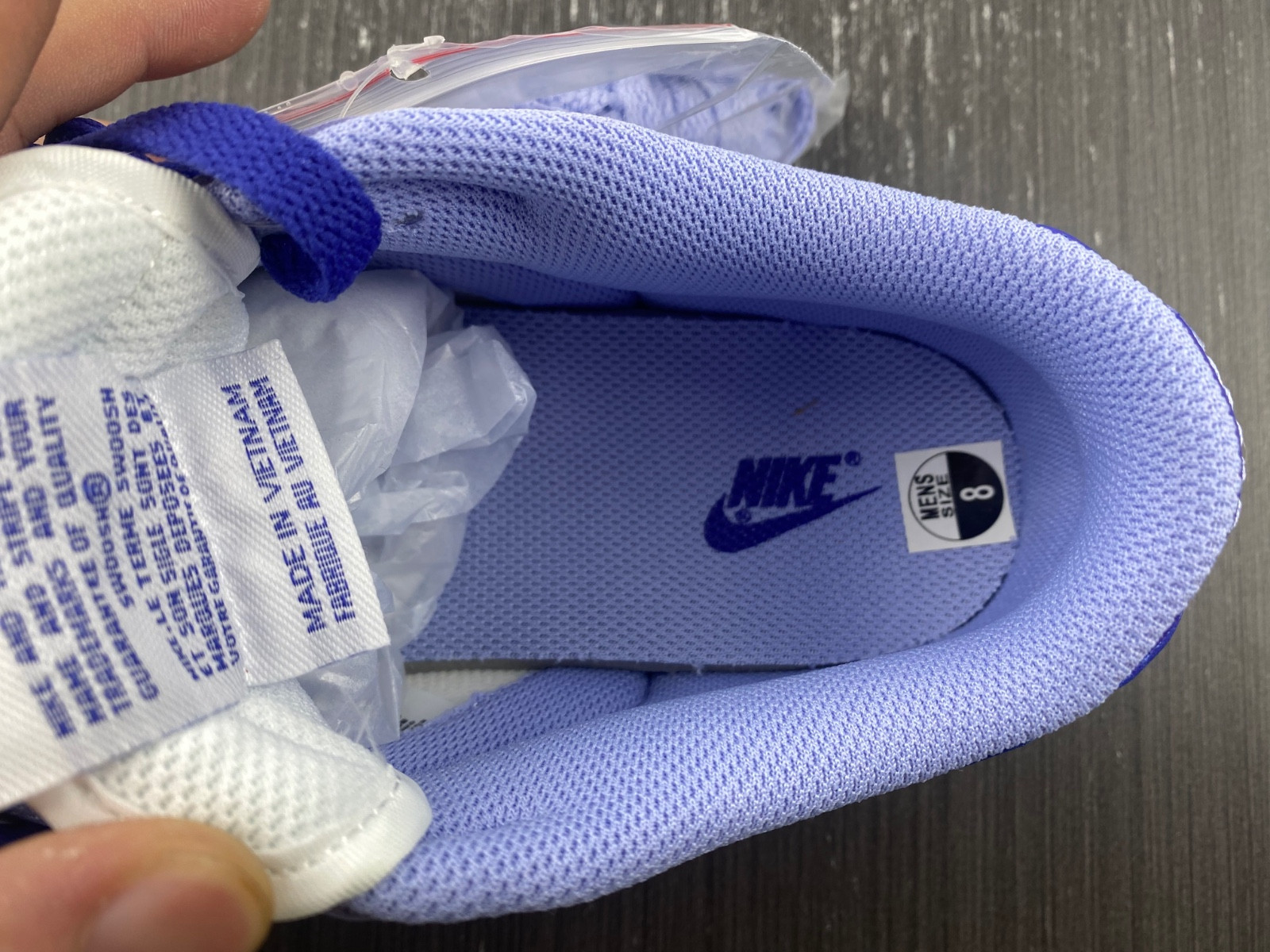 Nike Dunk Low Blueberry DZ4456-100