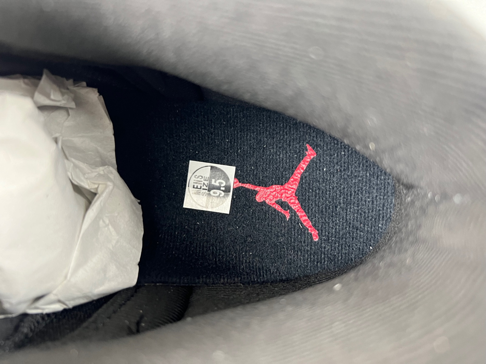 AIR JORDAN 12 “FLU GAME” 2025 CT8013-002