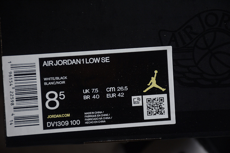 Air Jordan 1 Low “Concord” DV1309-100