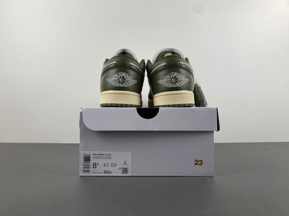 Air Jordan 1 DC0774-122