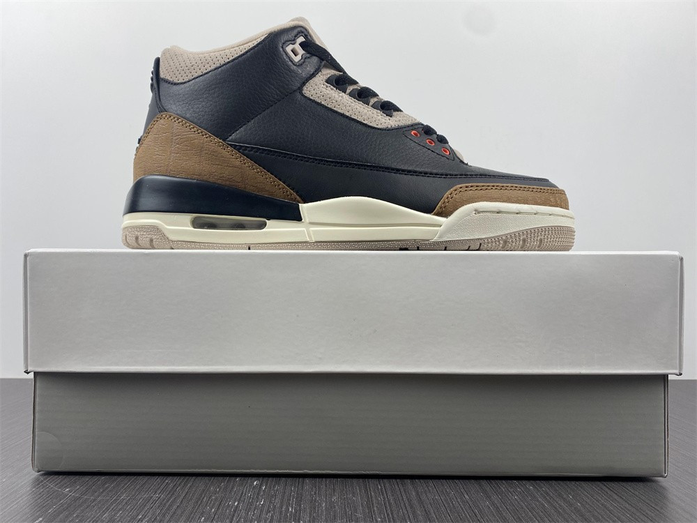 Air Jordan 3 “Desert Elephant” CT8532-008