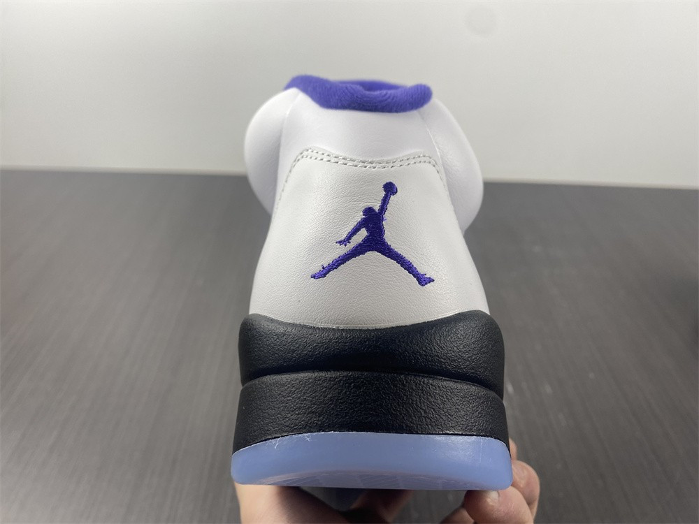 Air Jordan5 CONCORD DD0587-141