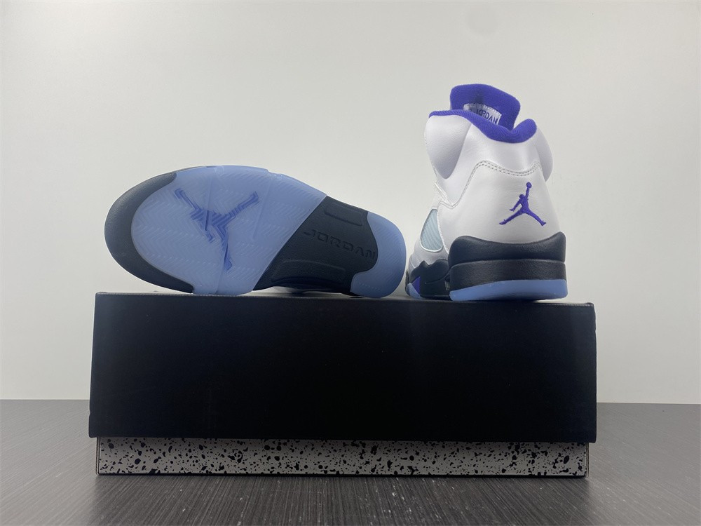 Air Jordan5 CONCORD DD0587-141