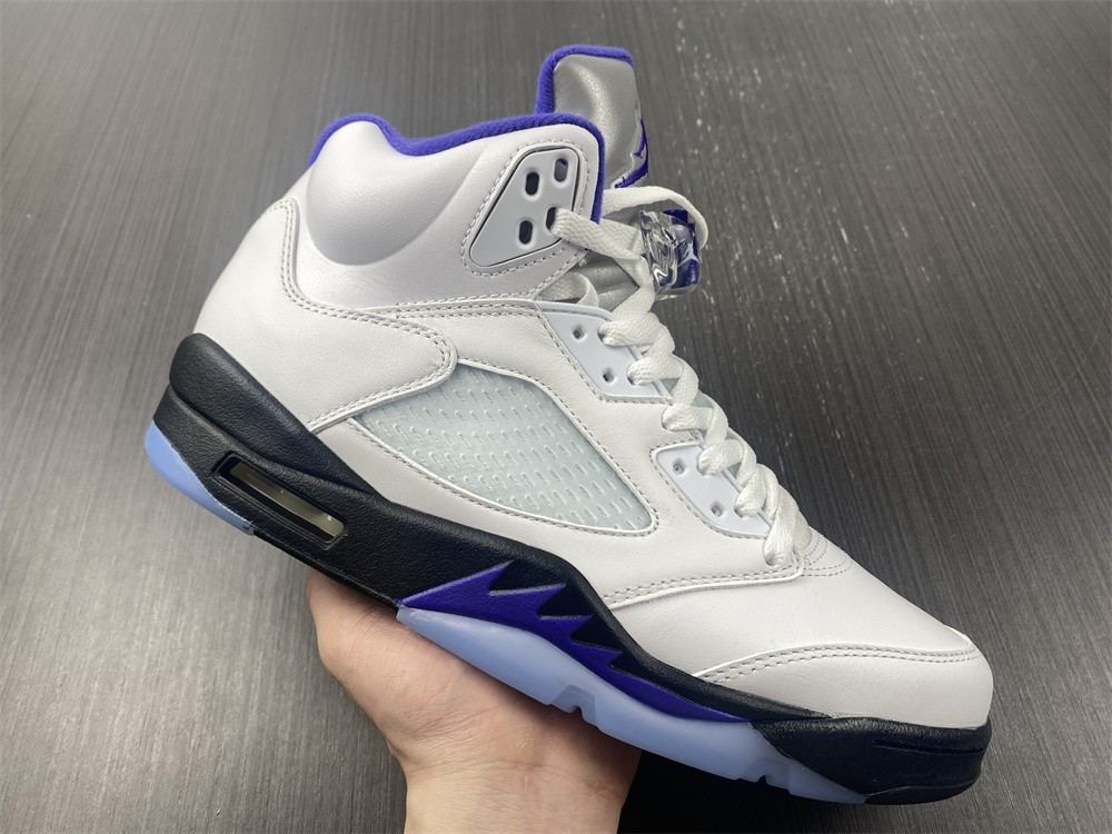 Air Jordan5 CONCORD DD0587-141