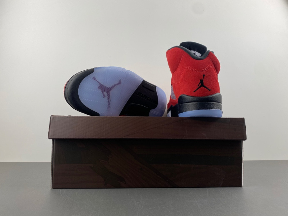 Air Jordan 5 CO0587-600