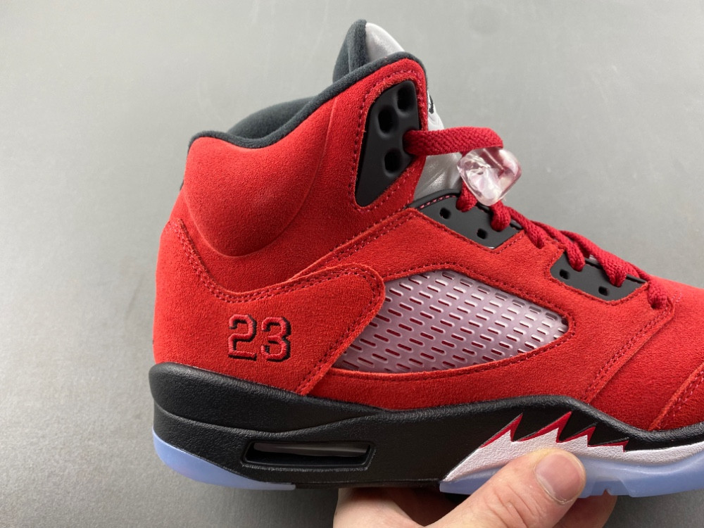 Air Jordan 5 CO0587-600