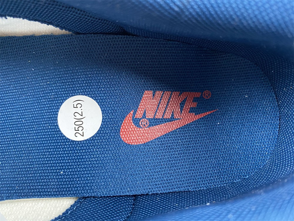 Nike dunk SB Low Retro Valerian Blue DD1391-400