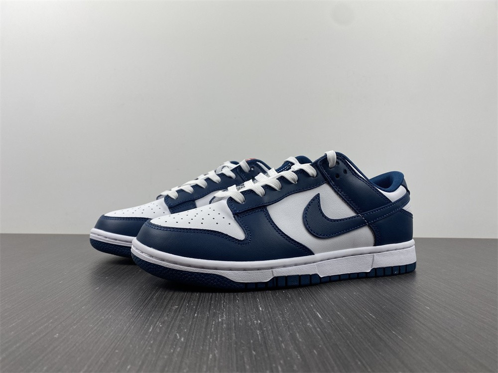 Nike dunk SB Low Retro Valerian Blue DD1391-400