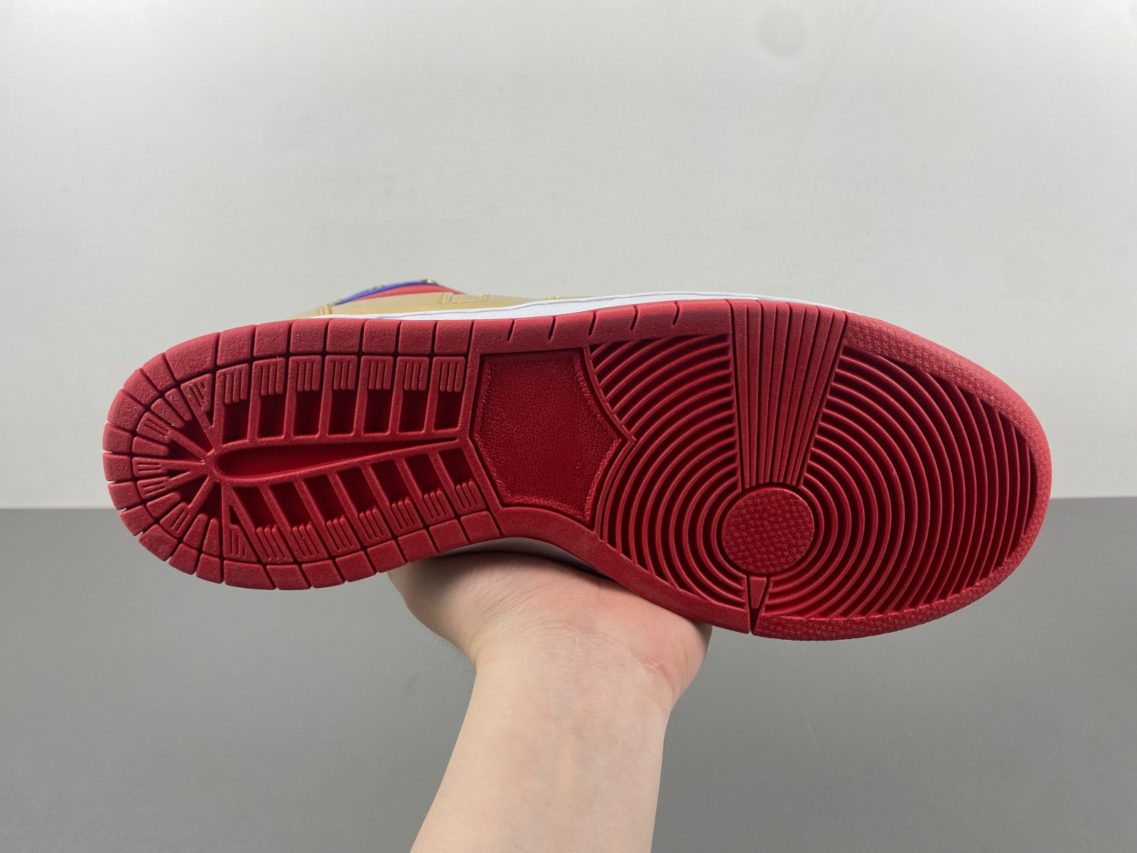 DONALD TRUMP NEVER SURRENDER